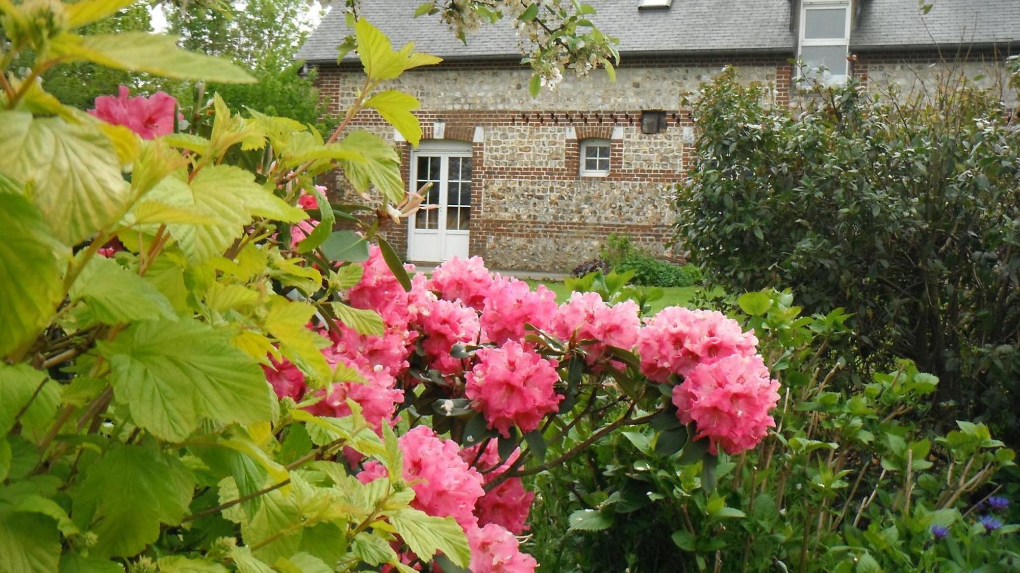 Les Pierres De Petreval - La Grange Bed & Breakfast Mentheville ภายนอก รูปภาพ